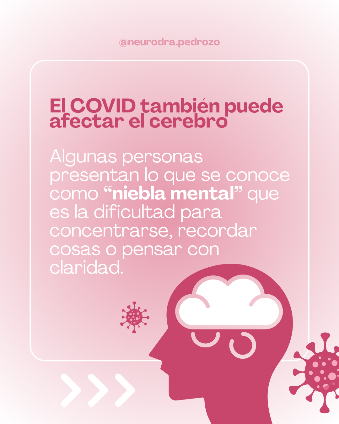 Educación Neurológica 4
